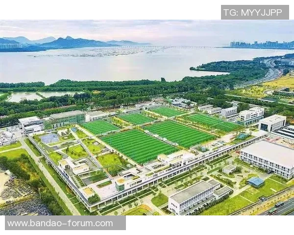 深圳龙华足球场周边美食与休闲活动推荐探索城市新风貌