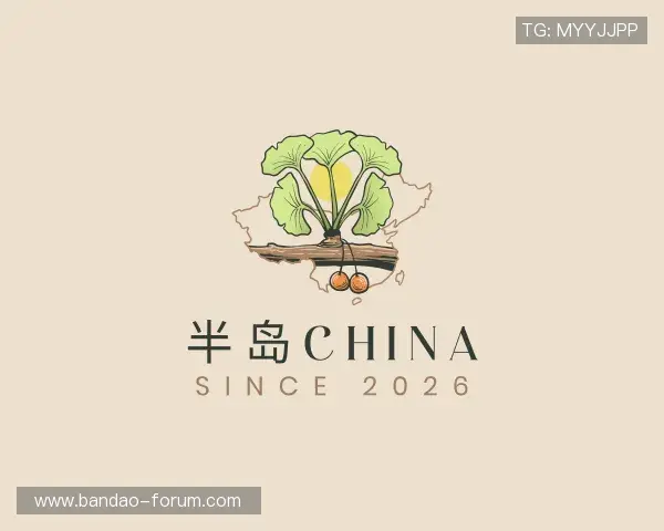 发现半岛体育官网